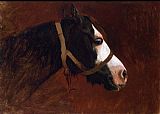 Jean-Leon Gerome Profile of a Horse painting